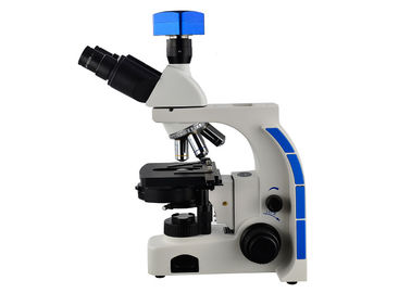 China Tinocular Phase Contrast Microscope 40X - 1000X High School Microscope supplier