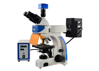 China Professional Trinocular Upright Fluorescence Microscope 100W Mercury Lamp supplier