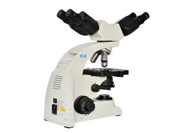 China UOP UB104i Multi Viewing Microscope Edu Science Dual Viewer Microscope supplier