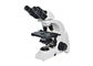 6V 20W Laboratory Biological Microscope 40-1000X Magnification White Black supplier