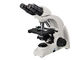 University Binocular Laboratory Biological Microscope 4X UB102i-12PLD supplier