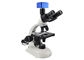 LED Light Advanced Trinocular Biological Microscope High Brightness supplier