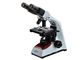 Finity Optical System Electronic Binocular Microscope With Halogen Lamp supplier