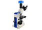 C303 Entry Level Clinical Laboratory Microscopes WF10X18 Eyepiece For Hospital supplier