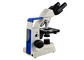 100X Binoculars Laboratory Biological Microscope For Primary School supplier