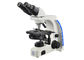 Professional Binocular Uop Microscope Highest Magnification Microscope supplier