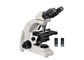Binocular Phase Contrast Microscope Upright Microscope 10x 40x 100x supplier
