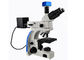 Transmitted Light Upright Fluorescence Microscope UMT203i For Forensic Labs supplier