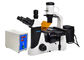 Phase Contrast UOP Inverted Fluorescence Microscope With B G Filter supplier