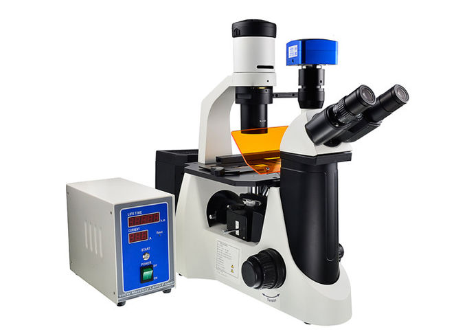 Phase Contrast UOP Inverted Fluorescence Microscope With B G Filter