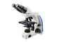 Binocular Advanced Compound Optical Microscope for Biological Laboratory supplier