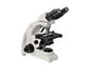 Multi Function Binocular Biological Microscope 4X - 100X With Plan Objectives supplier