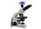 Trinocular Laboratory Biological Microscope / Laboratory Optical Microscope supplier