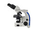 100X Laboratory Biological Microscope Binocular Light Microscope With 3W LED Lights supplier