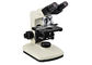 LED Achromatic Laboratory Biological Microscope Professional Finity Optical System supplier