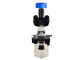 White Medical Laboratory Microscope , Science Lab Microscope 4 Holes Nosepiece supplier