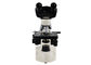 100X Binoculars Laboratory Biological Microscope For Primary School supplier