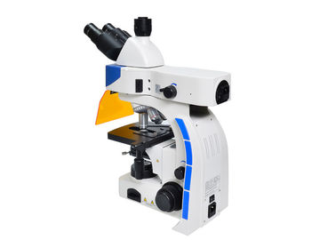 LED Trinocular Upright Fluorescence Microscope with B &amp; G Fluorescence Filter supplier