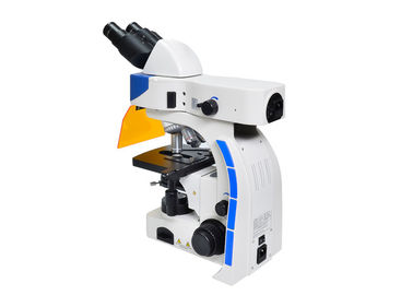 UOP Upright Fluorescence Microscope , High Resolution Fluorescence Microscopy supplier