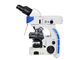 UOP Upright Fluorescence Microscope , High Resolution Fluorescence Microscopy supplier