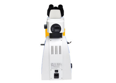 UOP Upright Fluorescence Microscope , High Resolution Fluorescence Microscopy supplier