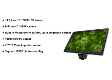 11.6 Inch Full HD 16 Million Pixel Microscope LCD Screen with Win10 System supplier