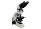 Trinocular Metallurgical Microscope 4X 10X 40X 60X For Asbestos Training supplier