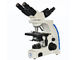 UOP204i Multi Viewing Microscope 10x 40x 100x School Education Use supplier