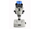 Professional Stereo Optical Microscope With 5 Million Pixel Camera supplier