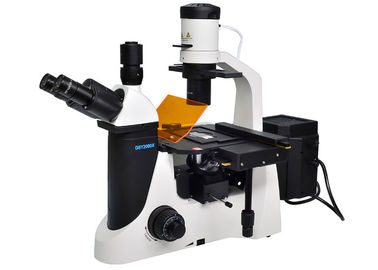 Phase Contrast UOP Inverted Fluorescence Microscope With B G Filter supplier