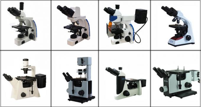 Professional Trinocular Upright Fluorescence Microscope 100W Mercury Lamp
