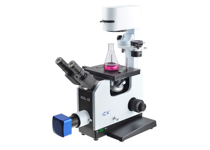 Education Inverted Optical Microscope / 25X Inverted Phase Contrast Microscopy